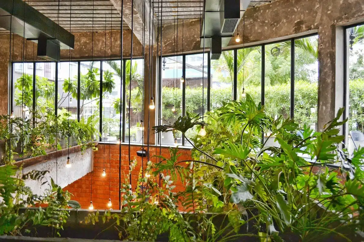 jardin intérieur